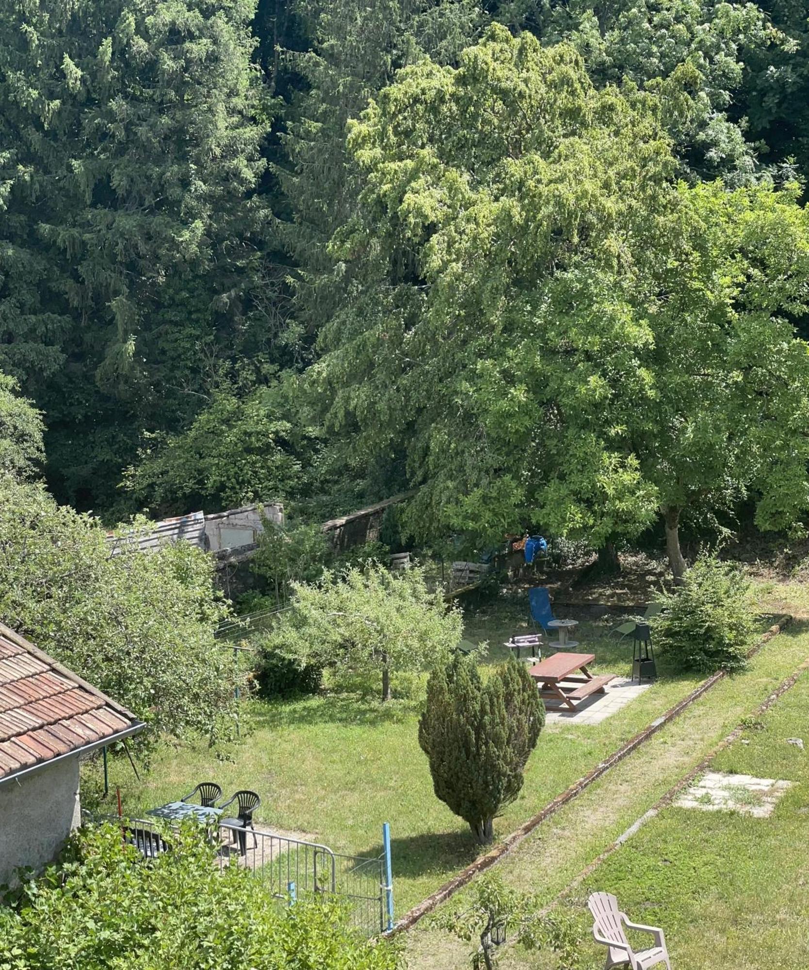 Appartement « Chez Falco » Vue Sur Le Chateau Schirmeck Exterior foto